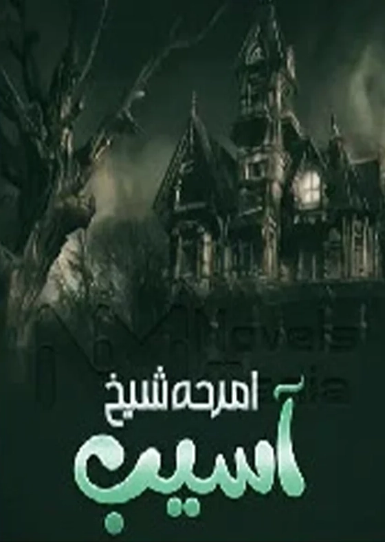 Aasaib Novel