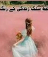 Tujh Sang Zindagi Ke Rang Novel By Dur E Najaf