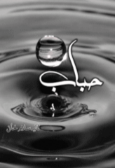 Hubaab by Sania Salam Khan